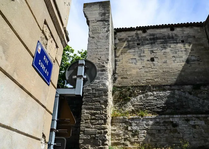 Le Sureau