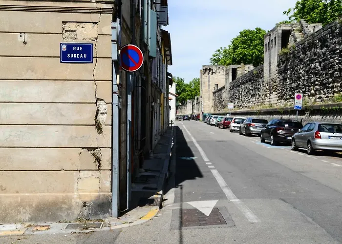 Le Sureau